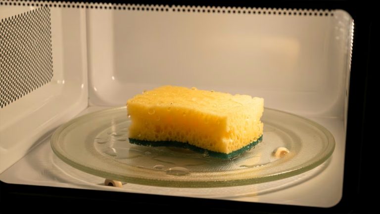 Por que é recomendável colocar uma esponja molhada no micro-ondas.
