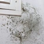 Sem vinagre nem bicarbonato: «esponja mágica» para remover manchas de humidade das paredes