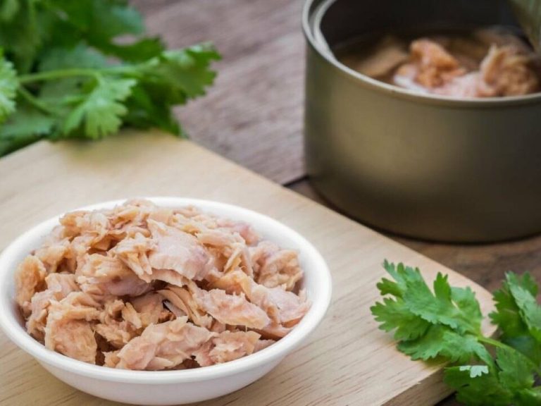 Proíbem o atum nas cantinas escolares de França por receio dos seus níveis de mercúrio