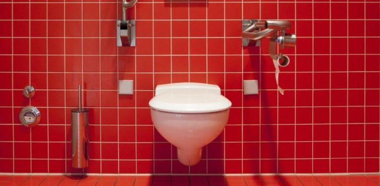 Um truque caseiro que faz sucesso: cubos de gelo para manter a limpeza e eliminar odores na casa de banho