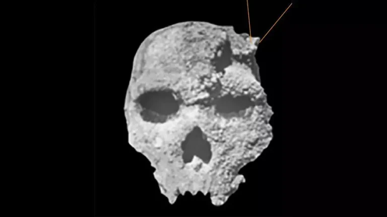 Crânio encontrado na Grécia muda o mapa da evolução na Europa