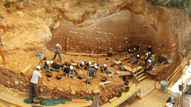Grande descoberta em Atapuerca: dente com 200 mil anos é o mais antigo vestígio da fauna glacial em Espanha