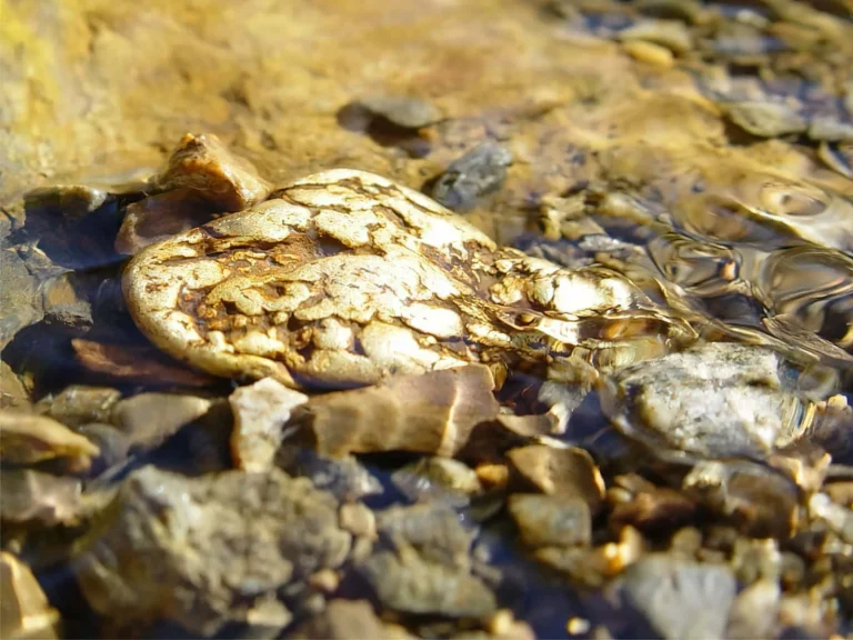 A descoberta do século: encontrado rio com toneladas de ouro, pertencente a um único país