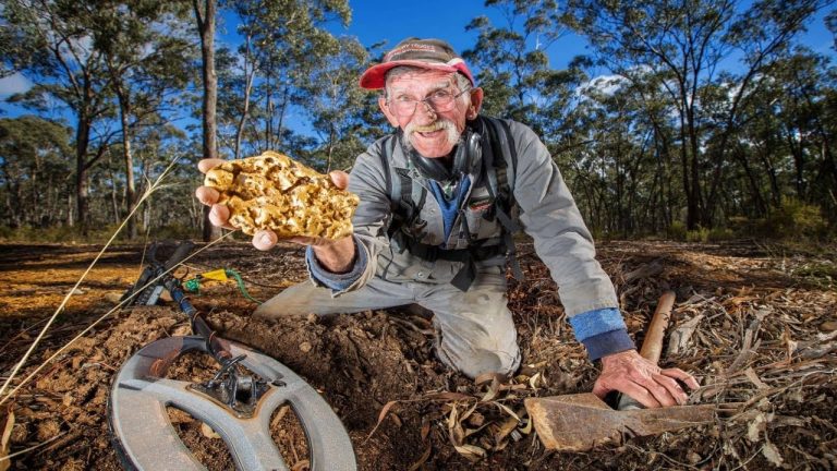 Um camponês descobre acidentalmente um enorme depósito de ouro no seu jardim e o governo impede-o de explorá-lo
