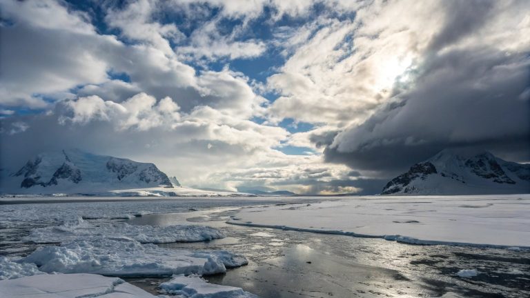 Os cientistas não acreditam: estudo confirma que os excrementos dos animais contribuem para a formação de nuvens na Antártida