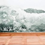 Adeus, humidade: uma forma caseira de eliminar manchas e odores na casa