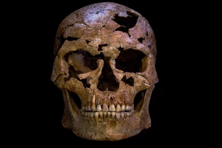 Encontram esqueleto com 12 mil anos que pode ser a prova mais antiga do conflito entre caçadores e coletores do sudeste asiático