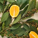 Misturar laranja com louro: para que serve e por que recomendam fazê-lo antes da primavera