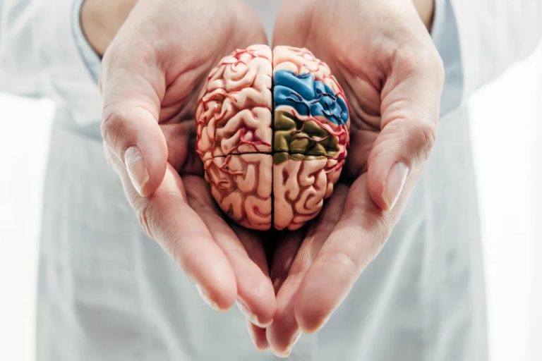 Bomba na antropologia: descobrem como os polegares influenciaram o desenvolvimento do cérebro humano