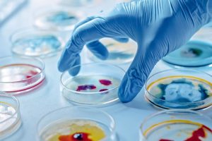 Cientistas apontam que existe um «terceiro estado» entre a vida e a morte: «Essas descobertas desafiam a ideia de que as células e os organismos só podem evoluir de maneiras predeterminadas».