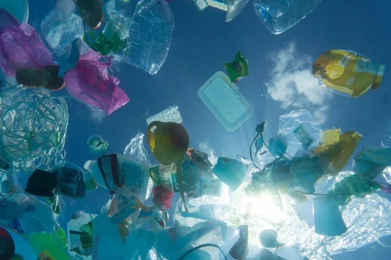 Portugal atingirá o excesso de plástico antes do previsto a nível global em 2025