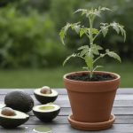 Para que serve misturar casca de abacate com vinagre e como aproveitá-la no seu jardim