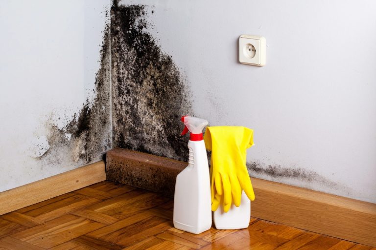 Como acabar com a humidade em casa seguindo uma antiga técnica japonesa: será útil neste outono