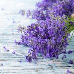 Por que é recomendável colocar saquinhos de lavanda na máquina de lavar?
