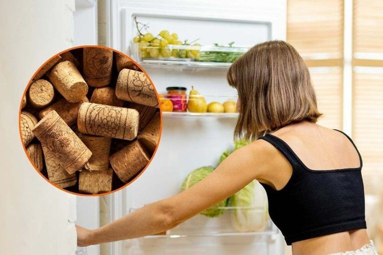 Uma rolha de vinho dentro do frigorífico: o truque simples com o qual acabará com este problema comum