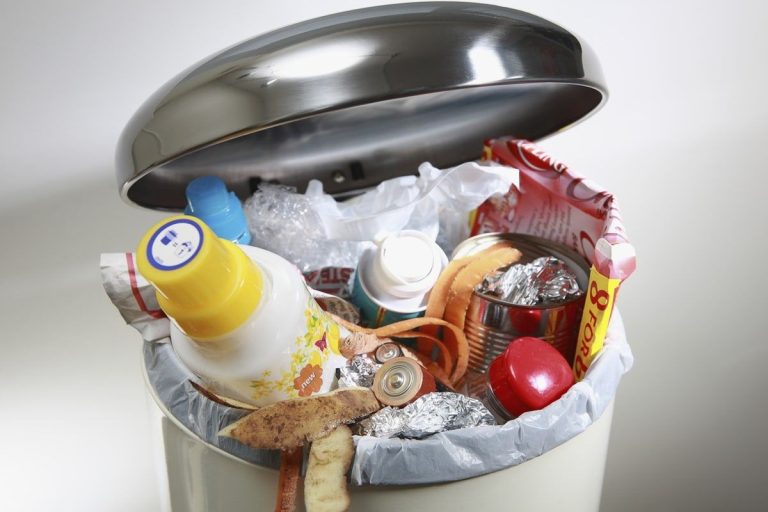 Sem lixívia nem produtos químicos: o truque simples para desinfetar o caixote do lixo
