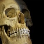 Descoberta do século: encontram um ancestral humano que muda completamente a história da evolução
