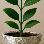 O truque com papel alumínio que ajuda as suas plantas a crescerem saudáveis e fortes