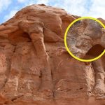 Esculturas de camelos em tamanho real na Arábia Saudita são mais antigas do que as pirâmides e Stonehenge: uma análise demonstra que são milhares de anos mais antigas do que se pensava
