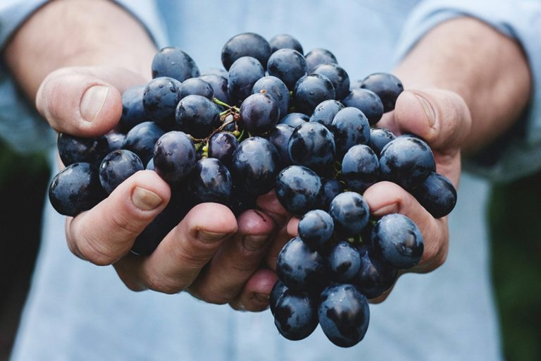 É um sucesso nas redes sociais e é recarregável: o aparelho capaz de descascar desde uvas até alhos em poucos segundos
