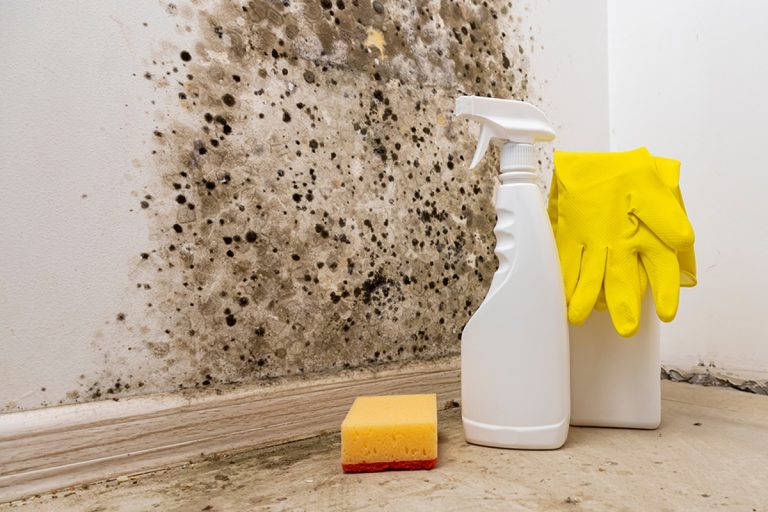 Como remover o bolor da parede de forma prática e muito simples?
