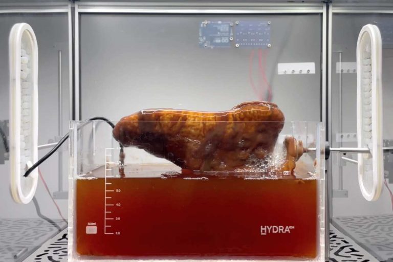 Estudante britânico cria biorreator modular que cultiva materiais 3D biodegradáveis com bactérias a partir de resíduos orgânicos