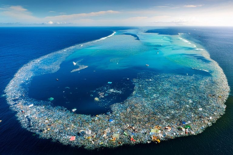 29 milhões de quilos de lixo: É assim que estão a limpar a maior ilha de plástico do mundo