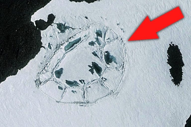 Os lagos invisíveis que pulsam sob a Antártida: 85 novas descobertas podem mudar o que sabemos sobre o derretimento do gelo e o mar