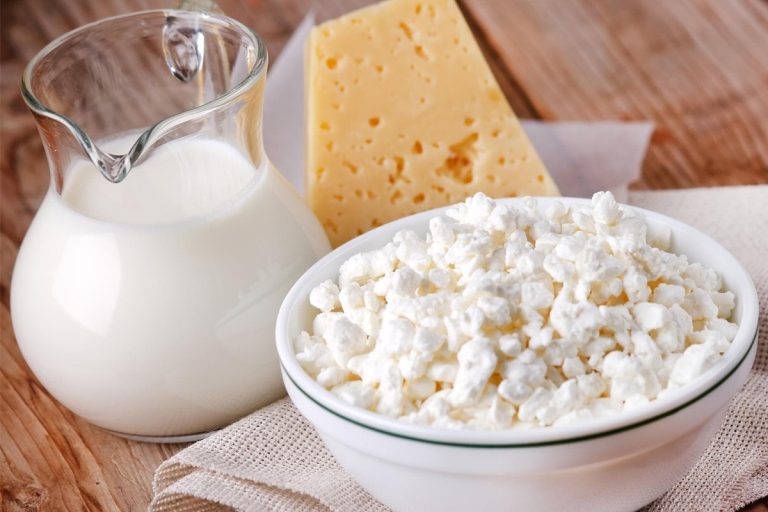 Queijo cottage ou queijo fresco: qual dos dois tem mais benefícios e fornece mais proteínas