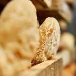 «Aumenta o risco de contaminação bacteriana»: o aviso de duas especialistas sobre recongelar pão e outros alimentos em casa