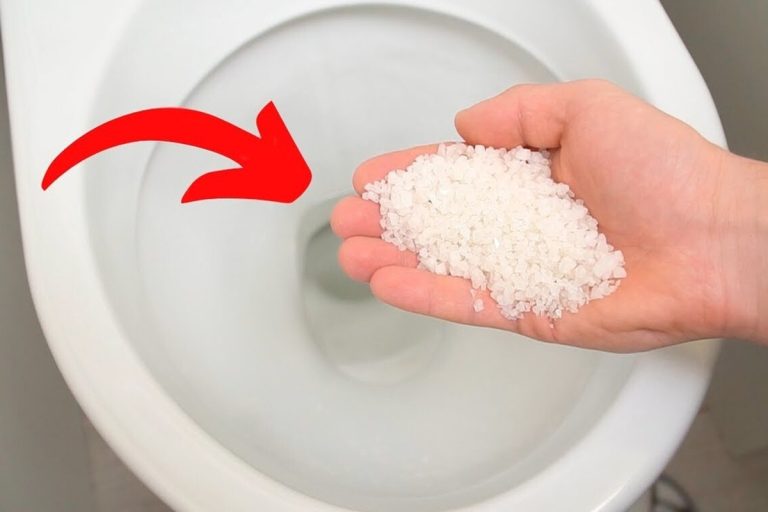 Como usar sal na sanita para proteger a sua saúde e evitar maus odores